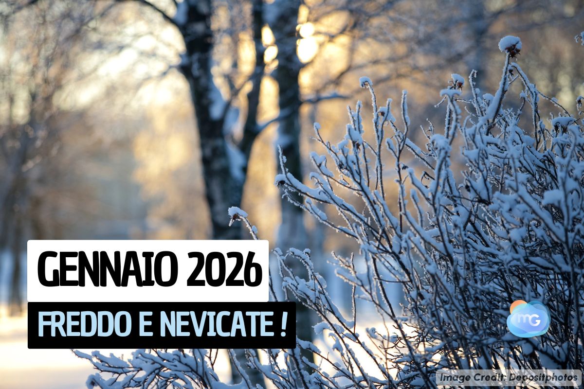 Articolo Meteo Gennaio 2026: freddo e neve, l'inverno si fa sentire